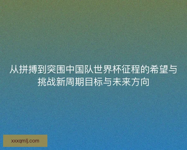 从拼搏到突围中国队世界杯征程的希望与挑战新周期目标与未来方向
